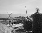 43 . PREPARING FOR THRESHING, NARA