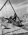 44 . THRESHING THE RICE, NARA