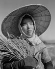 109 . WOMAN WITH CUT RICE
